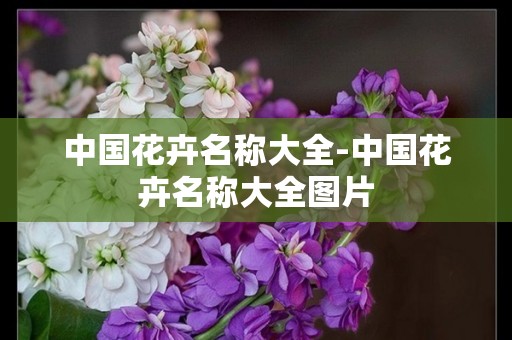 中国花卉名称大全-中国花卉名称大全图片